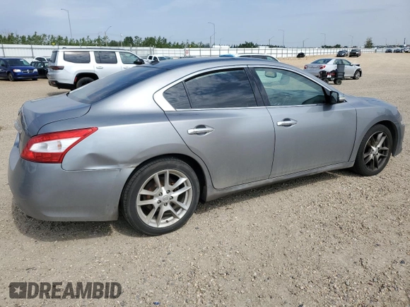 2009 Nissan Maxima S с VIN 1N4AA51E99C837209, выставлен на аукционе Copart как лот 61624435 с пробегом 160 869 миль миль и Списание • Salvage title. История ставок и продаж доступна на DreamBid. Изображение 3.