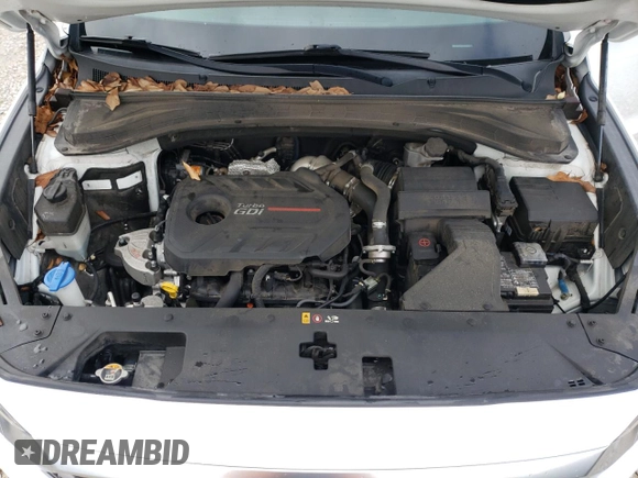 2019 Hyundai Santa Fe Limited with VIN 5NMS53AA2KH106424, listed as a Copart auction lot 72444332 with 28,530 mi miles. Bid and sale history available at carsss.com. Image 12.