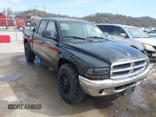 2004 Dodge Dakota SLT with VIN 1D7HL48N04S654059, listed as a IAAI auction lot 41811540 with 165,615 mi miles. Bid and sale history available at carsss.com. Image 1.