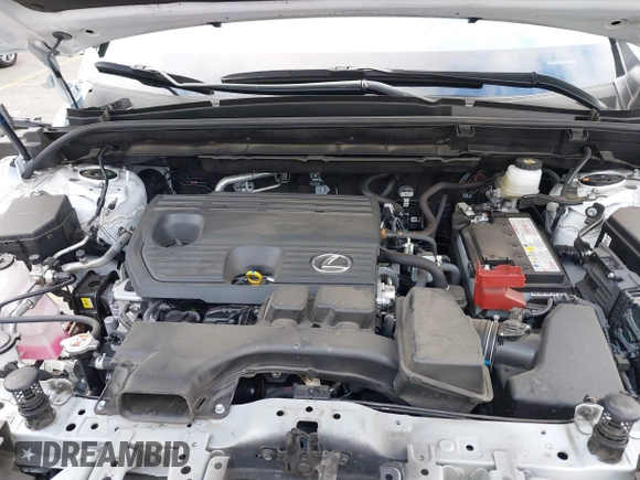2024 Lexus NX 250 with VIN JTJADCAZ4R2013677, listed as a IAAI auction lot 41548654 with 24,564 mi miles and . Bid and sale history available at DreamBid. Image 10.