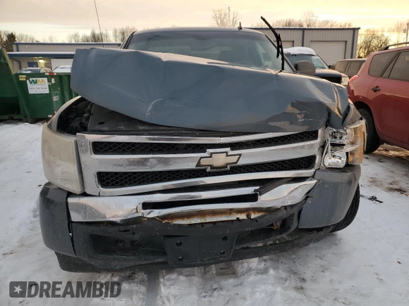 2010 Chevrolet Silverado 1500 LS with VIN 1GCSCREA7AZ264836, listed as a Copart auction lot 88660905 with 249,565 mi miles and Clean Title. Bid and sale history available at carsss.com. Image 5.