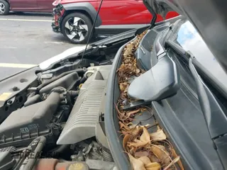 2014 Toyota Prius Three z VIN JTDZN3EU8E3316399, wystawiony jako IAAI lot #43411289 z przebiegiem 396 962 mil mil oraz . Historia ofert i sprzedaży dostępna na DreamBid. Obrazek 20.