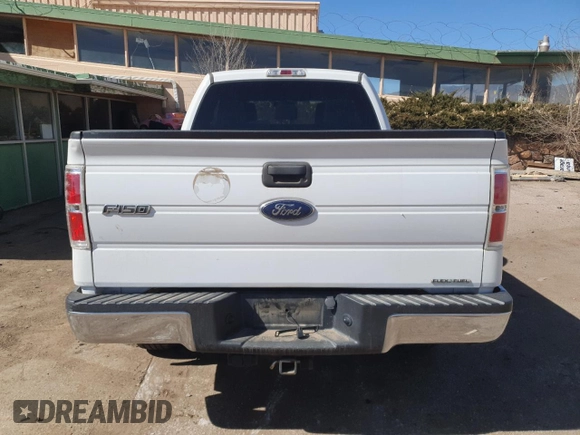 2014 Ford F-150 XL with VIN 1FTFX1EF7EFB88139, listed as a Copart auction lot 47197025 with 170,819 mi miles and Salvage title. Bid and sale history available at DreamBid. Image 6.