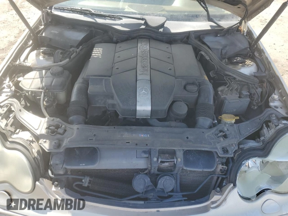 2002 Mercedes-Benz C 230/260/280/320 with VIN WDBRF61J22F251245, listed as a Copart auction lot 48387785 with 189,125 mi miles and Salvage Title. Bid and sale history available at DreamBid. Image 11.
