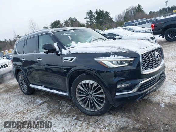 2018 Infiniti QX80 with VIN JN8AZ2NE6J9195243, listed as a IAAI auction lot 41348355 with 119,402 mi miles and . Bid and sale history available at DreamBid. Image 14.
