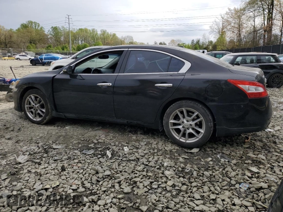 2011 Nissan Maxima 3.5 SV with VIN 1N4AA5APXBC802265, listed as a Copart auction lot 51761185 with 126,536 mi miles and Salvage Title. Bid and sale history available at carsss.com. Image 2.