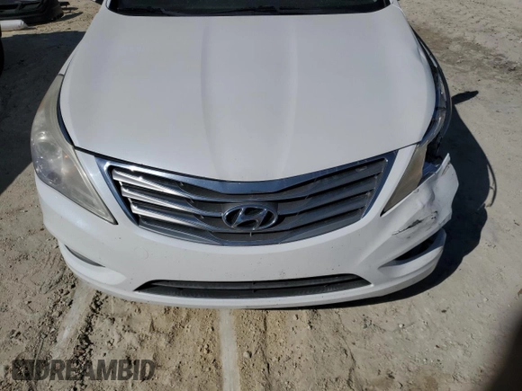 2014 Hyundai Azera with VIN KMHFG4JG1EA385784, listed as a Copart auction lot 49060695 with 168,953 mi miles and Salvage title. Bid and sale history available at DreamBid. Image 11.