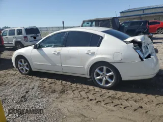2006 Nissan Maxima 3.5 SE with VIN 1N4BA41E46C834230, listed as a Copart auction lot 54317554 with 0 mi miles and Salvage Title. Bid and sale history available at carsss.com. Image 2.