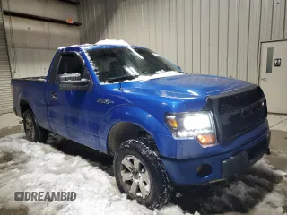 2013 Ford F-150 XL with VIN 1FTMF1EM2DFD99692, listed as a Copart auction lot 87008554 with 165,169 mi miles and Clean Title. Bid and sale history available at DreamBid. Image 4.