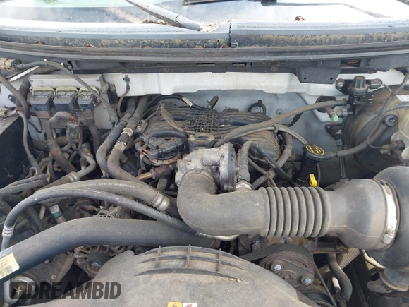 2005 Ford F-150 XL с VIN 1FTRF122X5NB39640, выставлен на аукционе IAAI как лот 42460270 с пробегом 276 631 миль миль и . История ставок и продаж доступна на DreamBid. Изображение 10.
