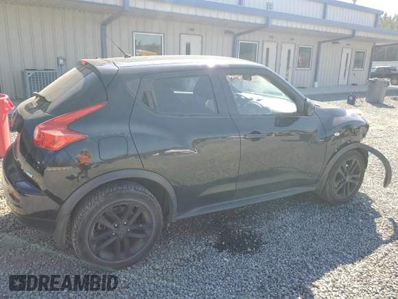 2013 Nissan Juke S with VIN JN8AF5MR2DT220208, listed as a Copart auction lot 48622955 with 96,447 mi miles and Salvage Title. Bid and sale history available at carsss.com. Image 3.
