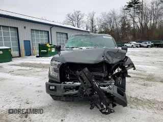 2016 Ford F-150 XLT with VIN 1FTFX1EF5GFD29647, listed as a Copart auction lot 87866955 with 0 mi miles and Salvage Title. Bid and sale history available at carsss.com. Image 11.