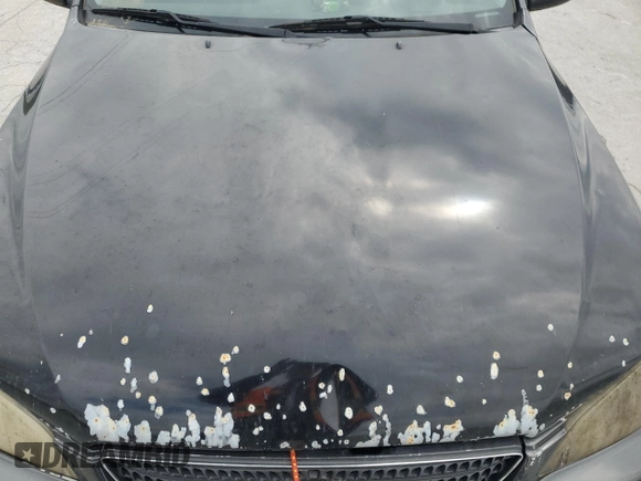 2004 Lexus IS 300/350 with VIN JTHBD192X40084503, listed as a Copart auction lot 52823555 with 133,794 mi miles and Clean Title. Bid and sale history available at DreamBid. Image 11.