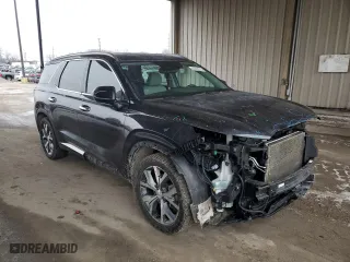 2020 Hyundai Palisade SEL with VIN KM8R3DHE3LU105338, listed as a Copart auction lot 44519315 with 134,946 mi miles and Salvage Title. Bid and sale history available at carsss.com. Image 4.