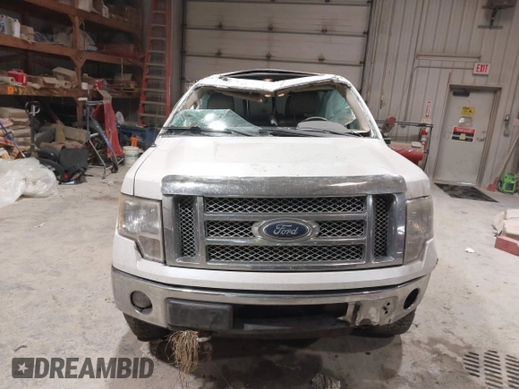 2010 Ford F-150 XL with VIN 1FTFW1EV6AFD40769, listed as a IAAI auction lot 41515740 with 253,234 mi miles. Bid and sale history available at carsss.com. Image 11.