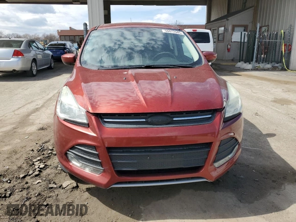 2014 Ford Escape SE with VIN 1FMCU9GX1EUC78393, listed as a Copart auction lot 50472945 with 115,843 mi miles and Clean Title. Bid and sale history available at DreamBid. Image 5.