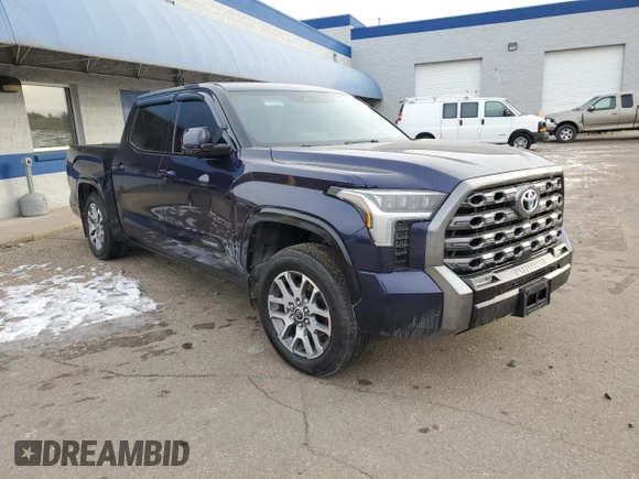 2022 Toyota Tundra Platinum with VIN 5TFNA5DB3NX010399, listed as a Copart auction lot 88658185 with 28,045 mi miles and Salvage title. Bid and sale history available at DreamBid. Image 4.