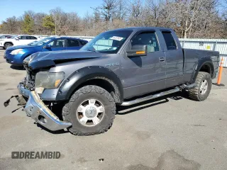 2010 Ford F-150 XL with VIN 1FTFX1EV8AFA55987, listed as a Copart auction lot 46297565 with 120,497 mi miles and Salvage Title. Bid and sale history available at carsss.com. Image 1.