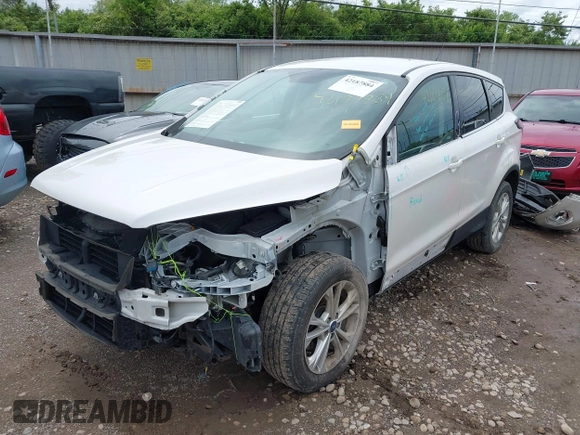 2017 Ford Escape SE with VIN 1FMCU0GD7HUC76041, listed as a IAAI auction lot 42187884 with 176,566 mi miles and . Bid and sale history available at DreamBid. Image 18.
