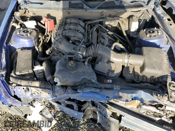 2013 Ford Mustang V6 with VIN 1ZVBP8AM2D5232027, listed as a Copart auction lot 49652665 with Not provided miles and Salvage title. Bid and sale history available at DreamBid. Image 11.