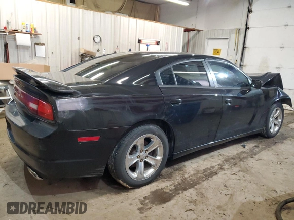 2013 Dodge Charger SE with VIN 2C3CDXBG1DH725486, listed as a Copart auction lot 49420265 with 215,154 mi miles and Salvage Title. Bid and sale history available at DreamBid. Image 3.