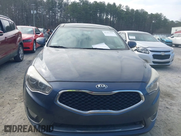 2015 Kia Cadenza Premium with VIN KNALN4D79F5195179, listed as a IAAI auction lot 41497523 with 258,695 mi miles. Bid and sale history available at carsss.com. Image 12.