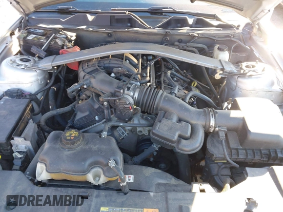 2013 Ford Mustang V6 with VIN 1ZVBP8EM0D5204477, listed as a IAAI auction lot 41009715 with 190,564 mi miles and . Bid and sale history available at DreamBid. Image 10.