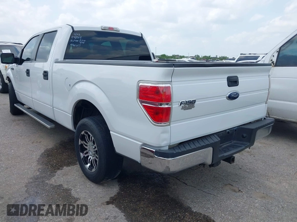 2010 Ford F-150 XL with VIN 1FTEW1C80AKE48904, listed as a IAAI auction lot 42110005 with 255,883 mi miles. Bid and sale history available at carsss.com. Image 3.