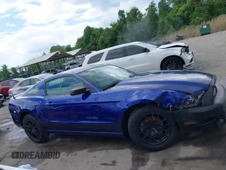2013 Ford Mustang V6 with VIN 1ZVBP8AM7D5228491, listed as a IAAI auction lot 42209129 with 146,461 mi miles and . Bid and sale history available at DreamBid. Image 13.