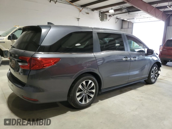 2024 Honda Odyssey EX-L with VIN 5FNRL6H69RB069598, listed as a Copart auction lot 53810215 with 5,789 mi miles and Salvage Title. Bid and sale history available at DreamBid. Image 3.