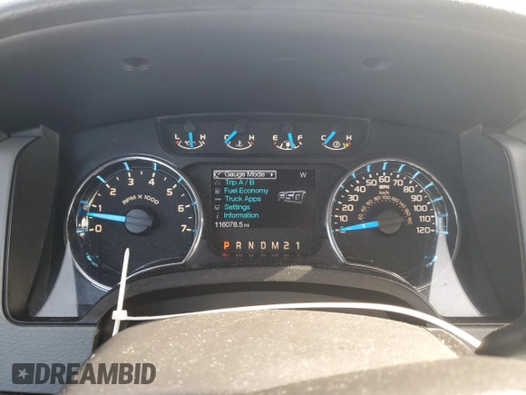 2013 Ford F-150 XL with VIN 1FTFW1ET5DFC96413, listed as a Copart auction lot 59771765 with 116,078 mi miles and Salvage title. Bid and sale history available at DreamBid. Image 9.