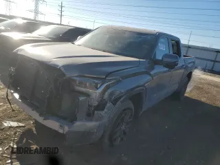 2023 Toyota Tundra Platinum with VIN 5TFNA5DB6PX102836, listed as a Copart auction lot 88541885 with 22,828 mi miles and Salvage title. Bid and sale history available at DreamBid. Image 1.