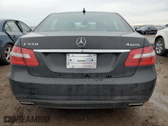 2010 Mercedes-Benz E-Class E 550 Luxury with VIN WDDHF9AB8AA233258, listed as a Copart auction lot 45865695 with 108,748 mi miles and Salvage Title. Bid and sale history available at carsss.com. Image 6.