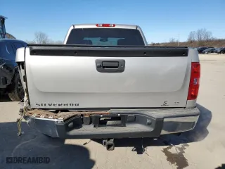 2007 Chevrolet Silverado 1500 LT w/1LT with VIN 2GCEC13C071725623, listed as a Copart auction lot 42019525 with 174,167 mi miles and Salvage Title. Bid and sale history available at carsss.com. Image 6.