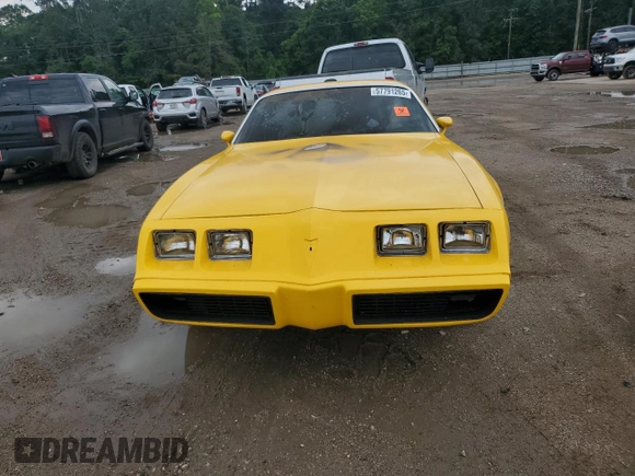 1981 Pontiac Firebird with VIN 1G2AT87S8BL140529, listed as a Copart auction lot 57791265 with Not provided miles and Salvage title. Bid and sale history available at DreamBid. Image 5.