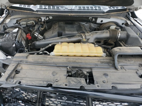 2019 Ford F-150 XL with VIN 1FTEW1C41KFB19166, listed as a Copart auction lot 53800144 with 97,876 mi miles and Salvage Title. Bid and sale history available at DreamBid. Image 11.