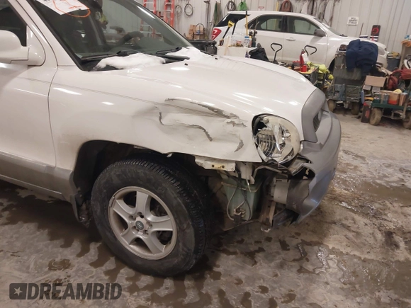 2003 Hyundai Santa Fe GLS with VIN KM8SC13E83U533400, listed as a IAAI auction lot 41610045 with 98,196 mi miles. Bid and sale history available at carsss.com. Image 6.