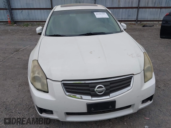 2008 Nissan Maxima 3.5 SL with VIN 1N4BA41EX8C832498, listed as a IAAI auction lot 41985509 with 175,209 mi miles. Bid and sale history available at carsss.com. Image 6.