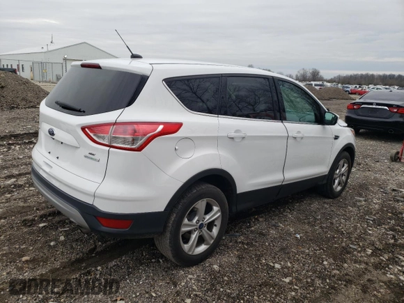 2014 Ford Escape SE with VIN 1FMCU0GX6EUA03906, listed as a Copart auction lot 50356845 with 101,852 mi miles and Salvage Title. Bid and sale history available at carsss.com. Image 3.