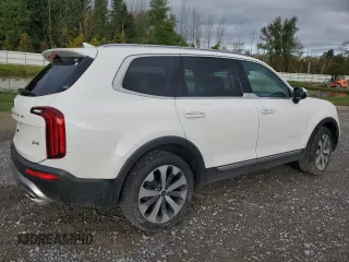 2020 Kia Telluride S with VIN 5XYP6DHC1LG004043, listed as a Copart auction lot 53561515 with 50,232 mi miles and Non Repairable. Bid and sale history available at DreamBid. Image 3.