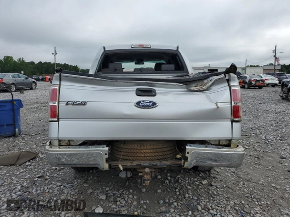 2009 Ford F-150 XL with VIN 1FTRW12W09FA68807, listed as a Copart auction lot 57811775 with 256,731 mi miles and Salvage title. Bid and sale history available at DreamBid. Image 6.