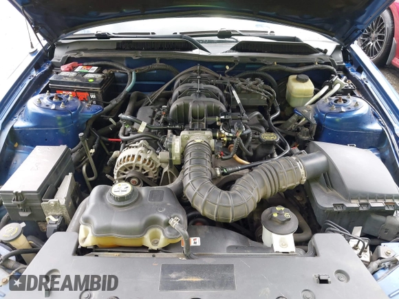 2006 Ford Mustang Standard with VIN 1ZVFT80N365125546, listed as a IAAI auction lot 42659162 with 221,544 mi miles and . Bid and sale history available at DreamBid. Image 10.