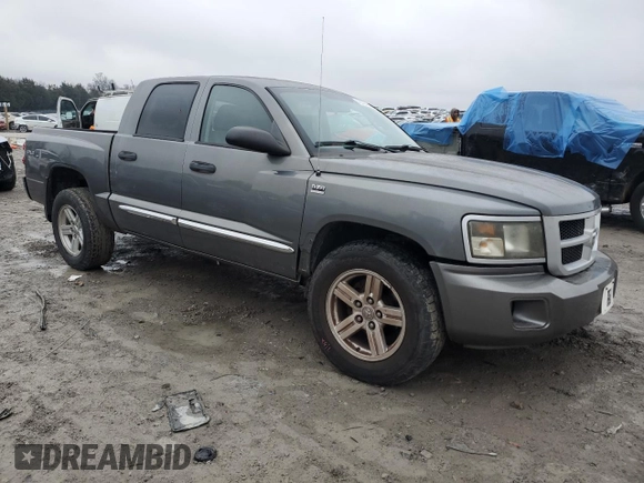 2010 Dodge Dakota Bighorn/Lonestar with VIN 1D7CW3GP5AS130822, listed as a Copart auction lot 42523155 with 103,081 mi miles and Salvage Title. Bid and sale history available at carsss.com. Image 4.