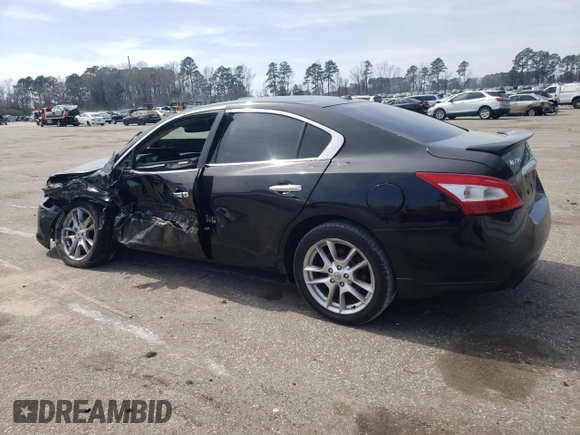 2009 Nissan Maxima SV with VIN 1N4AA51E99C807465, listed as a Copart auction lot 49768325 with Not Provided miles and Salvage Title. Bid and sale history available at DreamBid. Image 2.