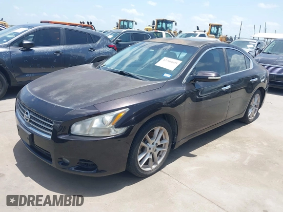 2011 Nissan Maxima SV with VIN 1N4AA5AP2BC810053, listed as a IAAI auction lot 42708609 with 100,899 mi miles and . Bid and sale history available at DreamBid. Image 2.