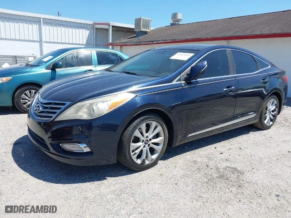 2012 Hyundai Azera with VIN KMHFG4JG9CA166469, listed as a IAAI auction lot 42054553 with 117,244 mi miles. Bid and sale history available at carsss.com. Image 2.