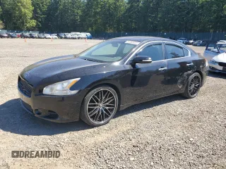 2010 Nissan Maxima SV with VIN 1N4AA5AP8AC812940, listed as a Copart auction lot 64960055 with 137,985 mi miles and Salvage title. Bid and sale history available at DreamBid. Image 1.