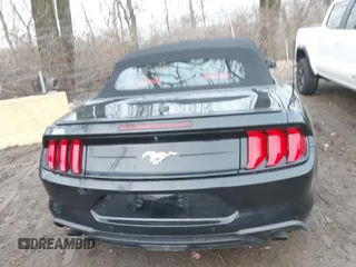 2019 Ford Mustang EcoBoost with VIN 1FATP8UH2K5159850, listed as a IAAI auction lot 41056057 with 44,133 mi miles and . Bid and sale history available at DreamBid. Image 16.