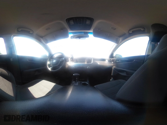 2019 Kia Sorento LX with VIN 5XYPGDA51KG560134, listed as a IAAI auction lot 42567418 with 112,494 mi miles and . Bid and sale history available at DreamBid. Image 18.