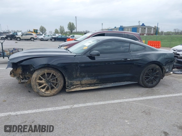 2017 Ford Mustang V6 with VIN 1FA6P8AM8H5280924, listed as a IAAI auction lot 41938096 with 167,622 mi miles and . Bid and sale history available at DreamBid. Image 15.